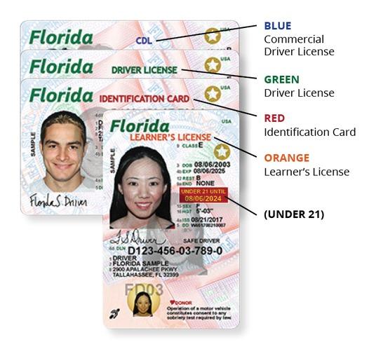 check a fl drivers license